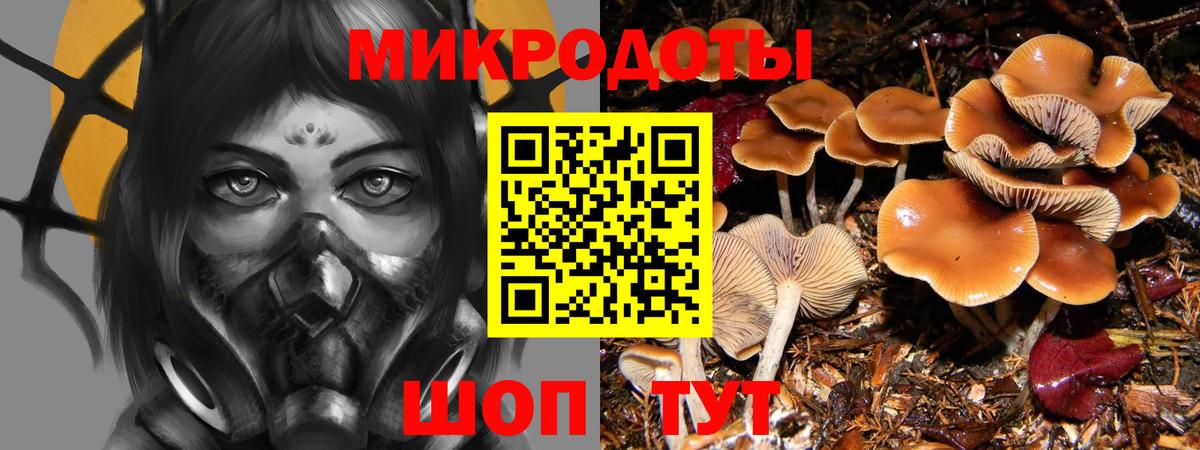 Кострома  Псилоцибиновые грибы Psilocybine cubensis  Вход с VPN 