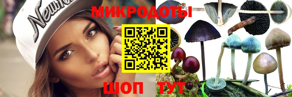 Галлюциногенные грибы Cubensis Кострома